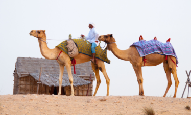 evening desert safari dubai