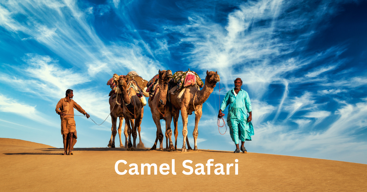 What to Expect When Riding a Camel on a Desert Safari
