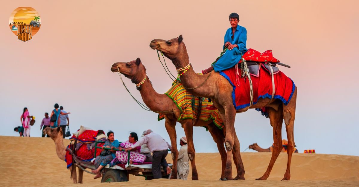 Camel Safari in Desert Safari Dubai vs Abu Dhabi