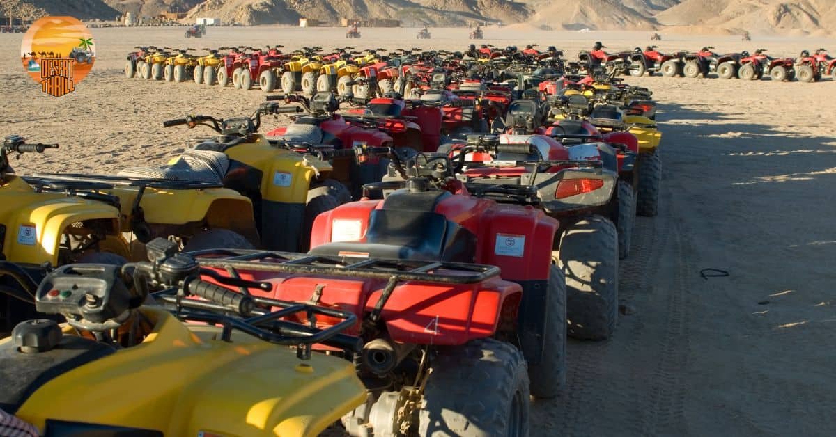 Top Quad Biking Tours and Packages