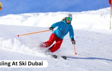ski