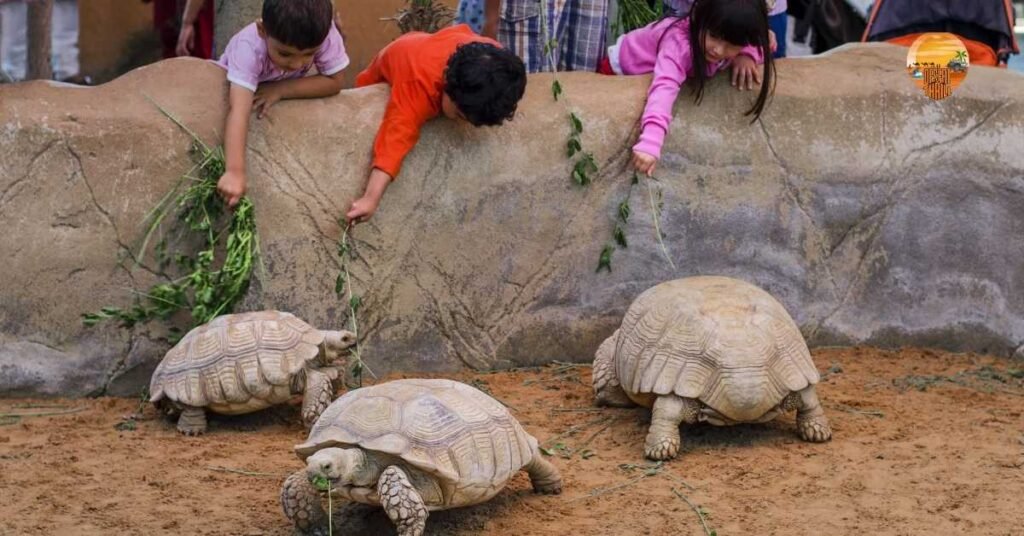 Conservation Efforts at Emirates Park Zoo