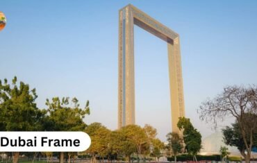Frame