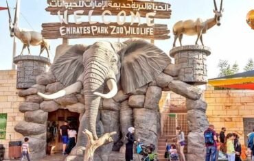 zoo