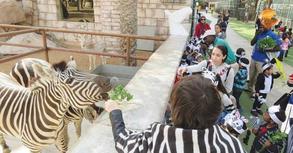 Meet the Animals at Emirates Park Zoo