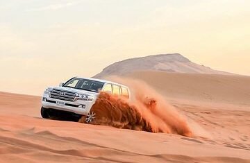 safari