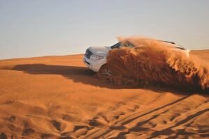 dunes
