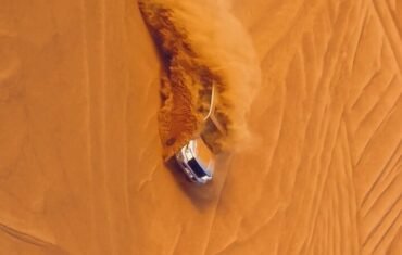 safari