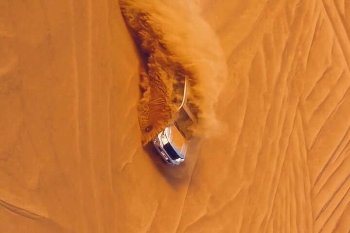 safari
