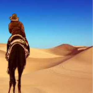 Dubai , family friendly desert safari