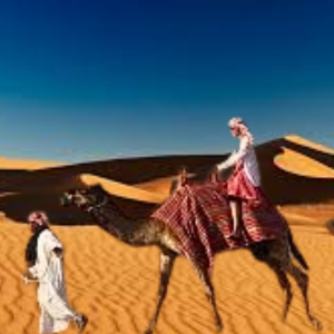 Dubai , Family friendly desert safari dubai