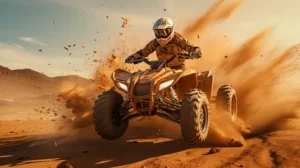 Feel the rush of an exhilarating Desert Safari with Dune Bashing. Relish BBQ dinner, belly dance shows, and a breathtaking sunset in the dunes. Safari , Desert Safari with Dune Bashing , Desert Safari , Dune Bashing , Dubai Desert Safari , Evening Desert Safari , Desert Tour , Dune Buggy , Safari Dubai.