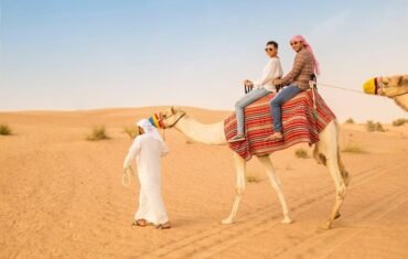 Feel the magic of Dubai's desert safari with a traditional camel ride in Dubai. Ride across golden dunes and make unforgettable memories.