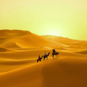 Experience the ultimate romantic desert safari Dubai. Enjoy a private desert safari with a sunset camel ride, gourmet dining under the stars, and breathtaking views. Dubai , romantic safari , desert dinner , private safari , sunset desert , Dubai dunes , couple photos , camel ride , bespoke safari , luxury desert , intimate dinner , stargazing Dubai , Arabian night , dune bashing , Bedouin camp , henna painting , belly dance show , fire show , falconry , desert tour , love birds , special occasion , memorable experience , exclusive safari , tranquil desert , sunset views , photo session , Arabic hospitality , book desert tour.
