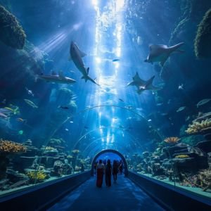 Dubai aquarium