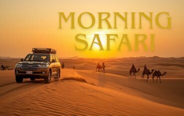 morning safari