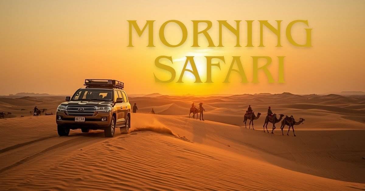 morning safari