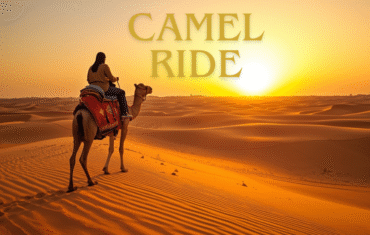 Camel Ride