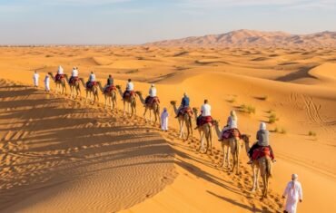 Camel Ride Experiences on Dubai Desert Safari