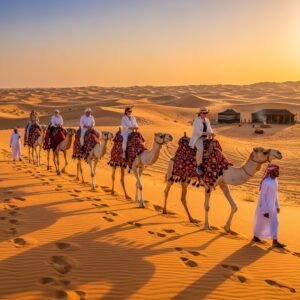 Camel Ride Dubai Desert Safari Facts