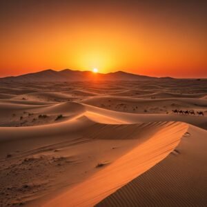 Best Sunset Views Desert Safari