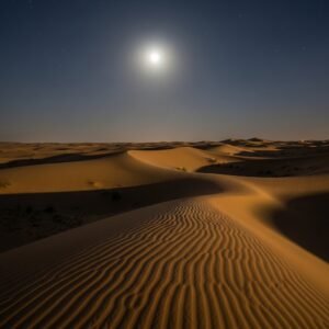 Exclusive Night Safari Dubai