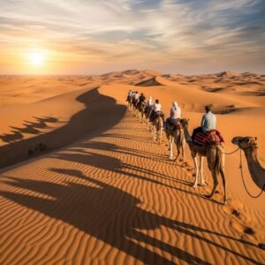 Evening Safari with Cultural Shows in Dubai