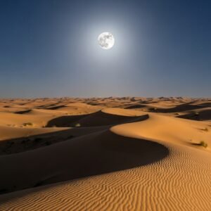 Exclusive Night Safari Dubai