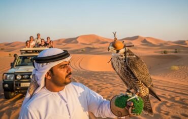 Dubai Desert Safari Wildlife Spotting Guide