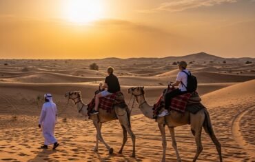Best Desert Safari Dubai Camps to Visit