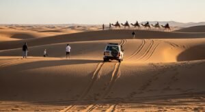 Desert Fever