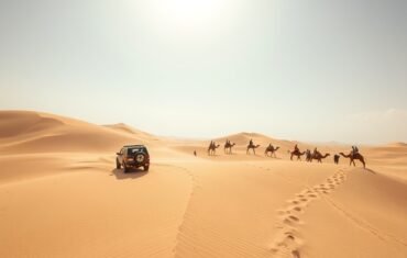 Safari UAE