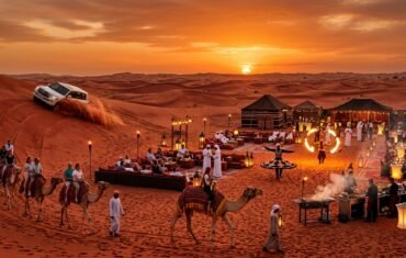 UAE SAFARI