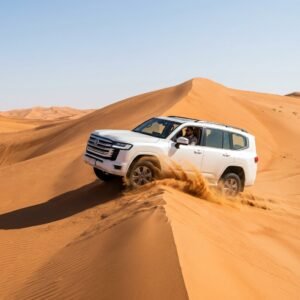 UAE Safari