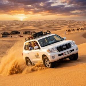 UAE Safari