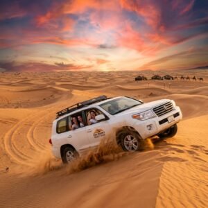 UAE Safari