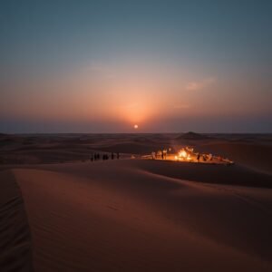 Safari Night