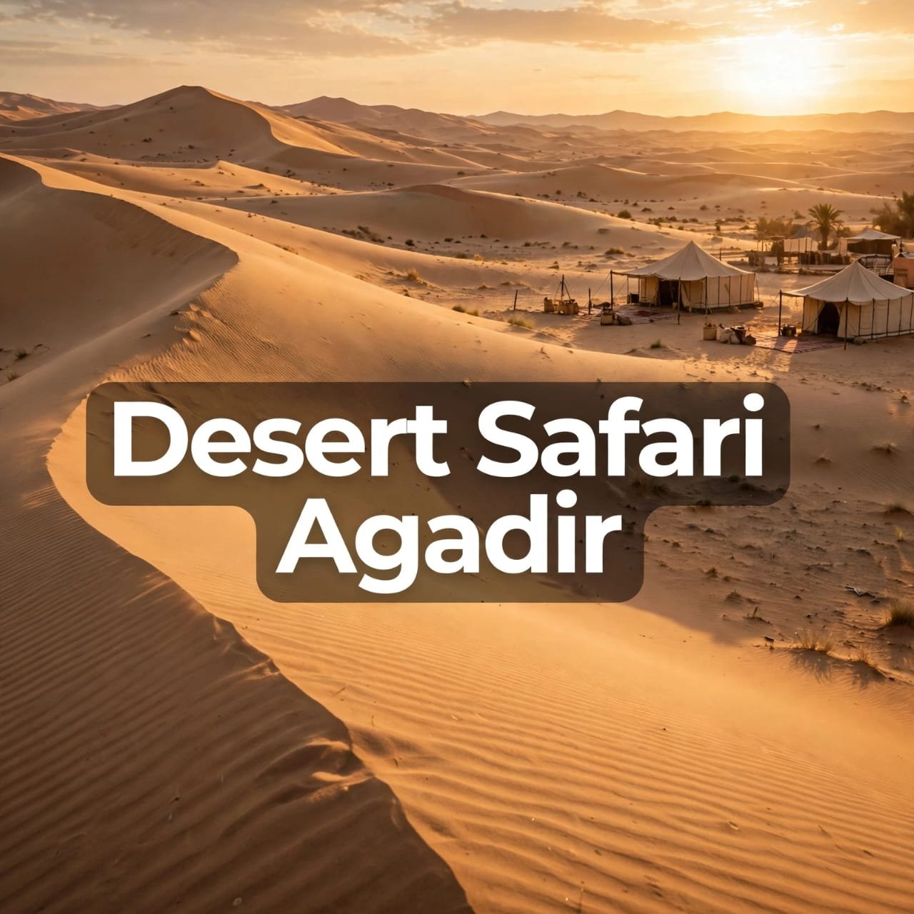 Desert Safari Agadir