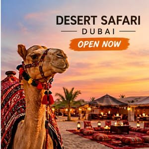 Desert Safari Open Now?