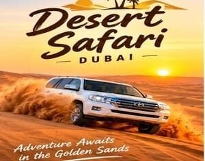 Morning desert safari