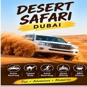 Morning desert safari