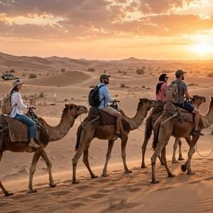 Desert Safari Ajman 